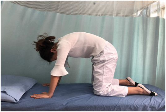 貓式運(yùn)動1.png