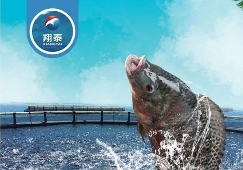 翔泰漁業(yè)深耕【海南鯛】近二十年，堅持高品質(zhì)水產(chǎn)品穩(wěn)定供應(yīng)，不斷創(chuàng)新研發(fā)產(chǎn)品以滿足不同市場需求！
