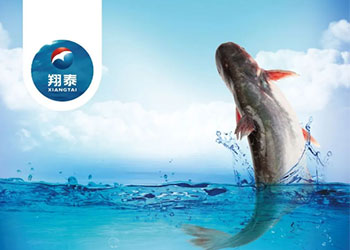 繼金鯧魚、海南鯛之后！翔泰漁業(yè)全力打造第三條精品魚【海南巴沙魚】