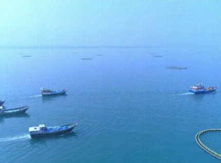首批漁獲——翔泰2023金鯧魚全面開捕，從南海到餐桌，全程可追溯！